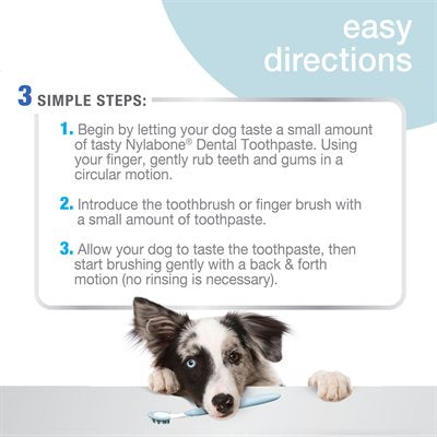 Nylabone - Advanced Oral Care - Tartar Control Toothpaste