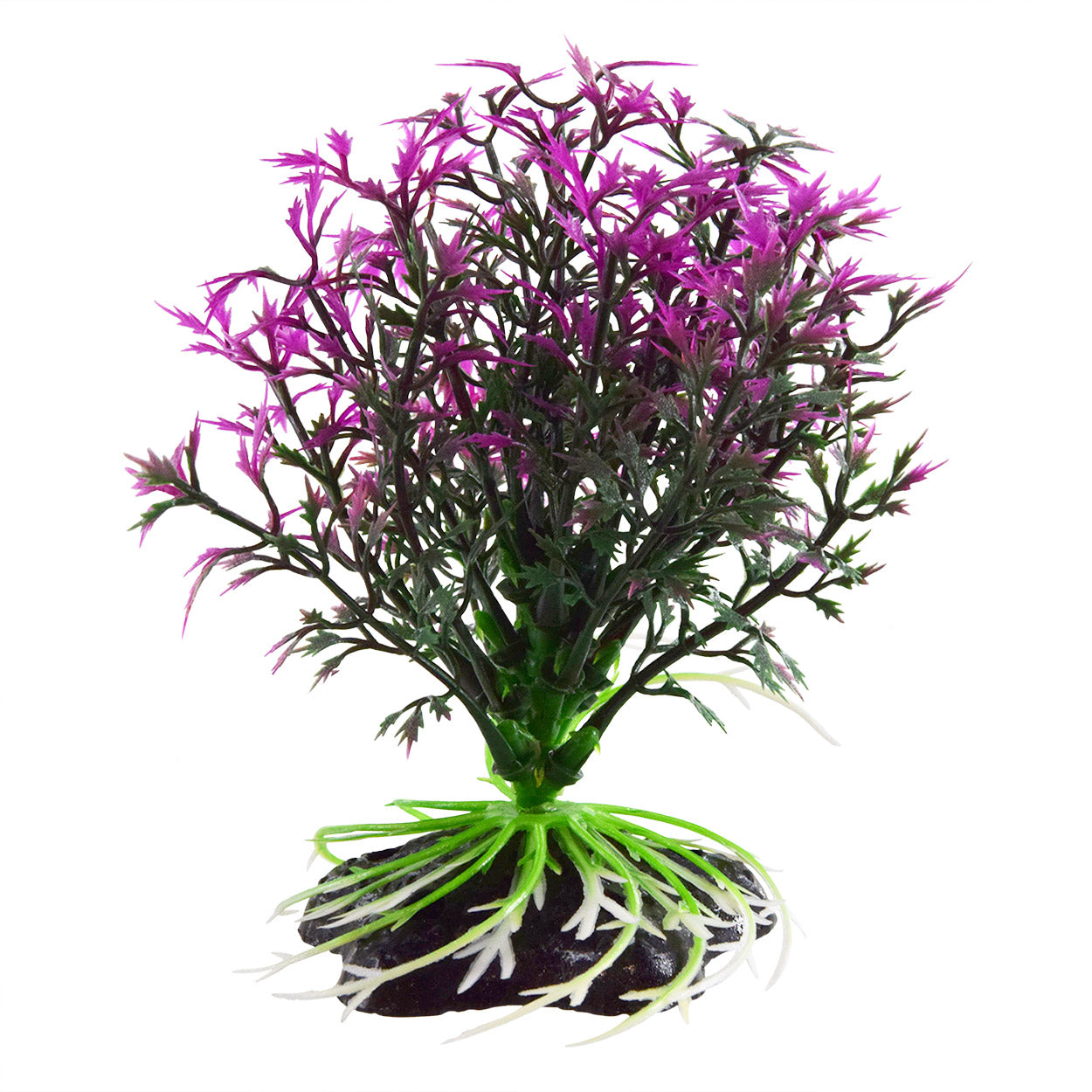 Underwater Treasures - Lavender Ball Plant