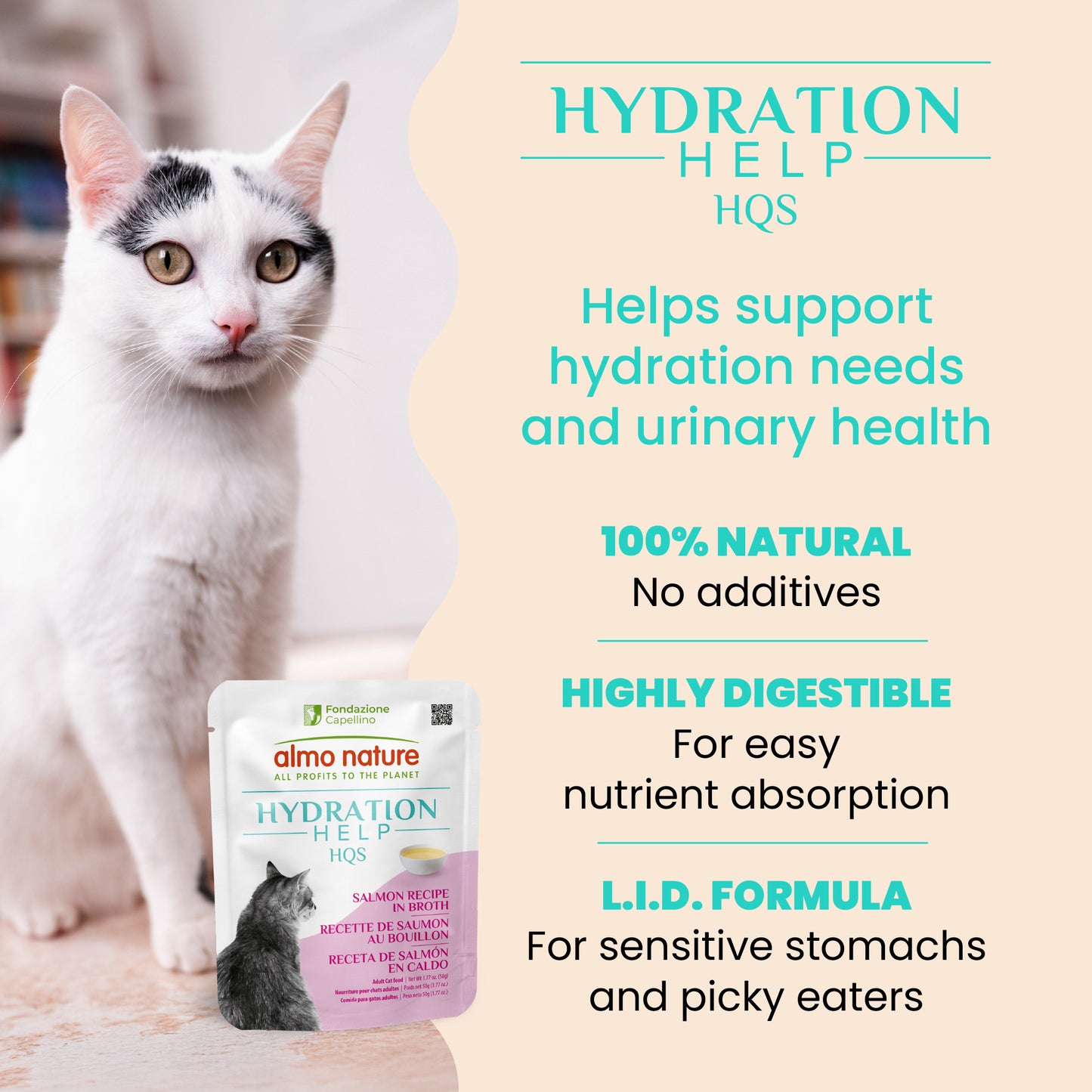 Almo Nature - HQS Hydration Help - Salmon Recipe In Broth