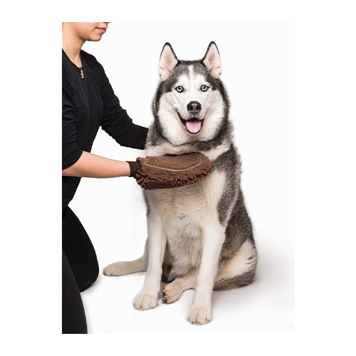DGS - Grooming Glove