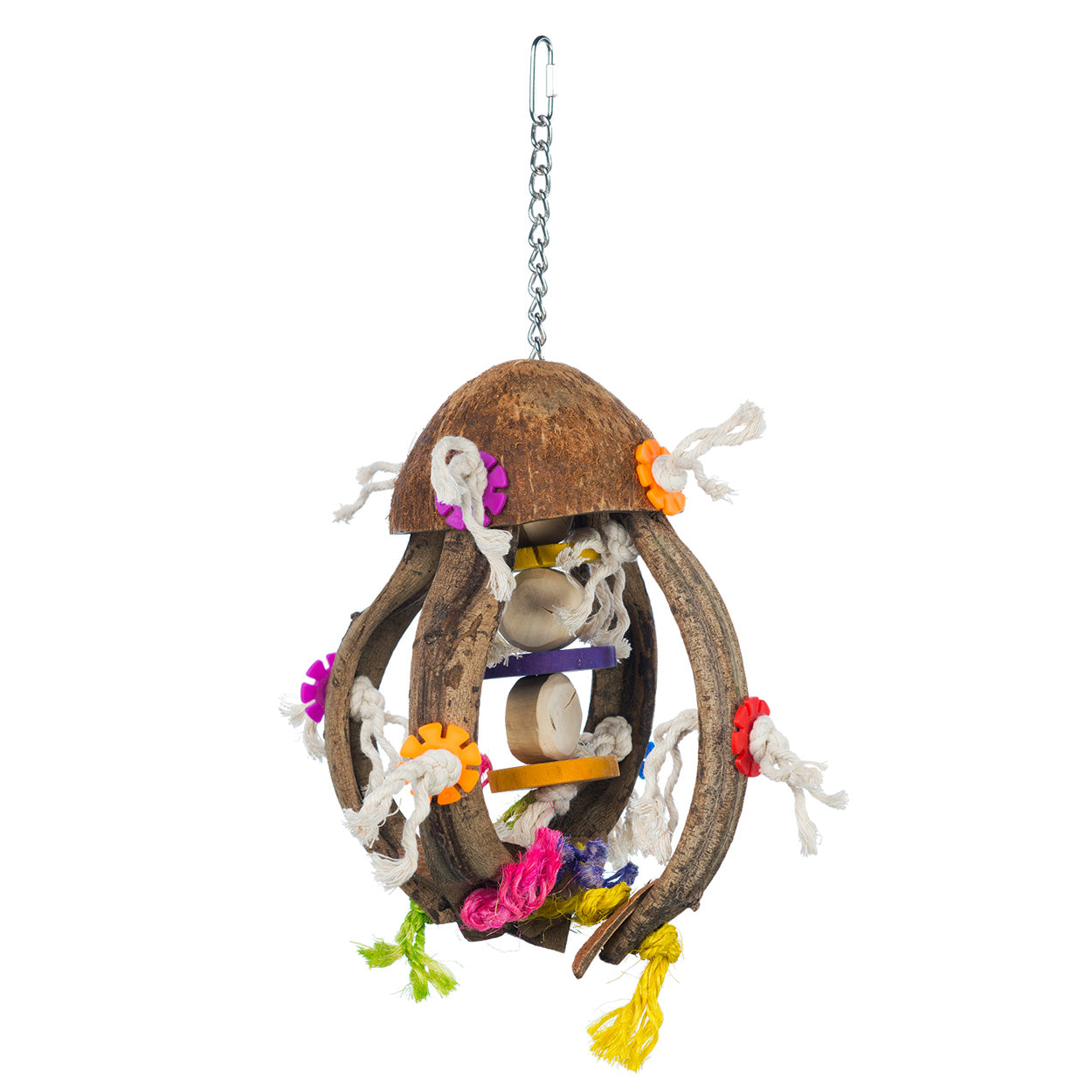 Prevue Hendryx Playful - Jellyfish