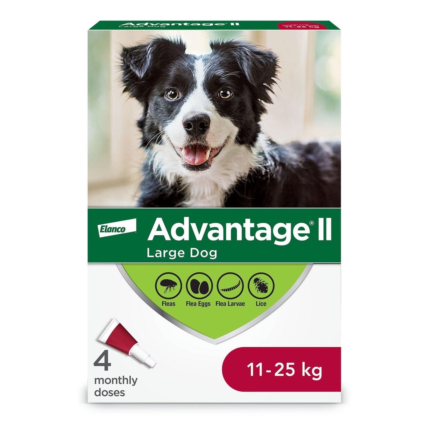 Advantage II - Dog