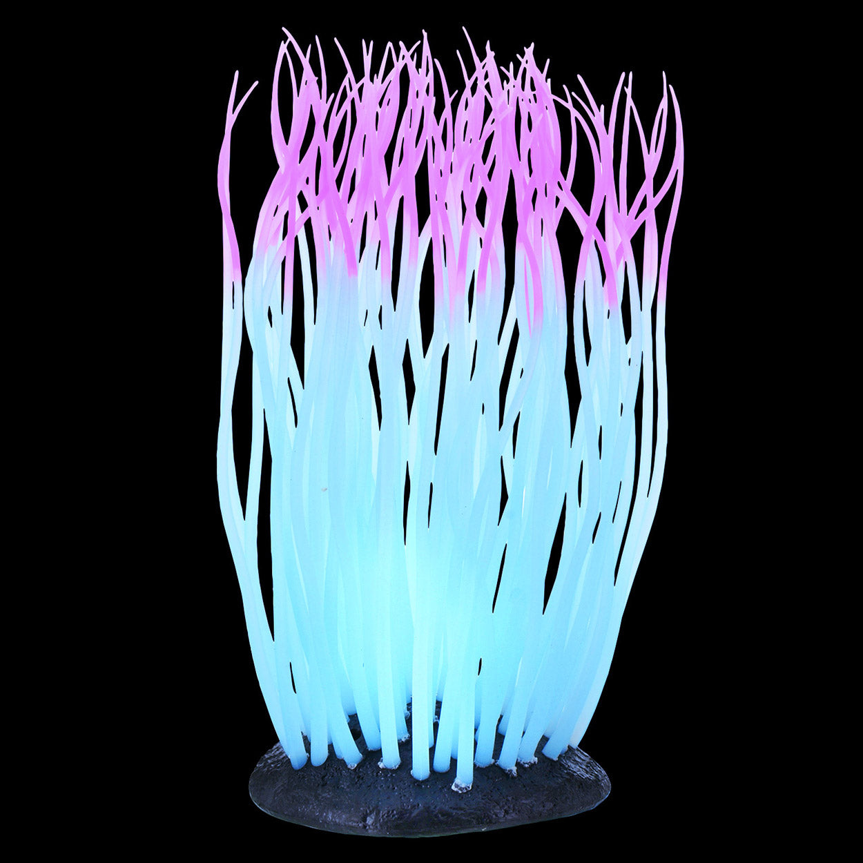 Underwater Treasures - Glowing Anemone - Pink
