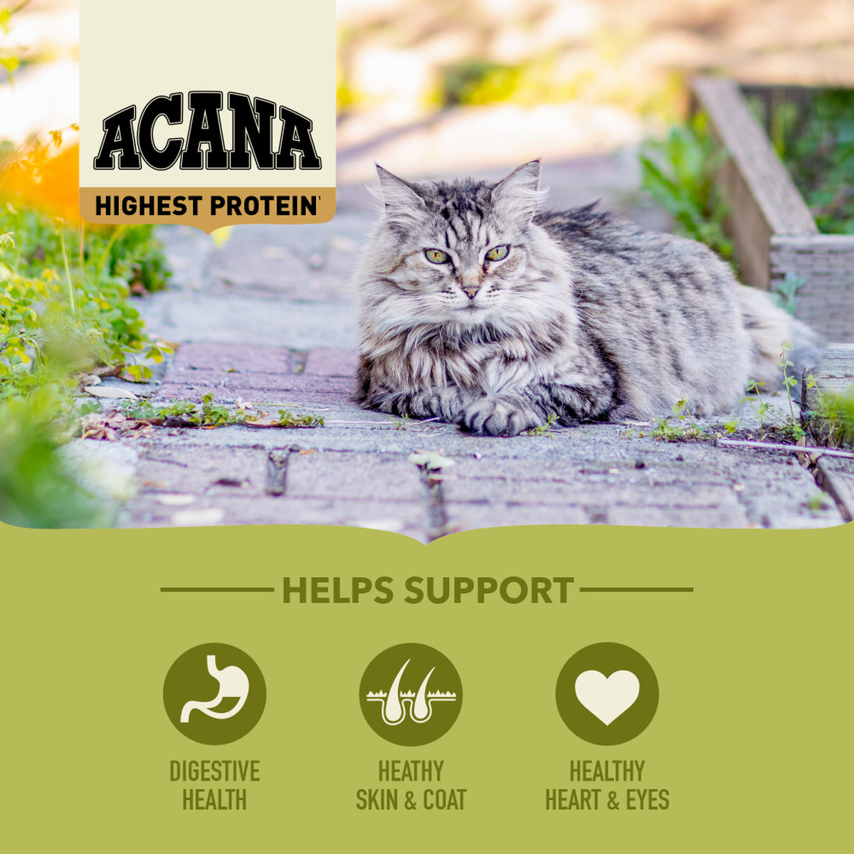 Acana - Cat - Highest Protein - Grasslands
