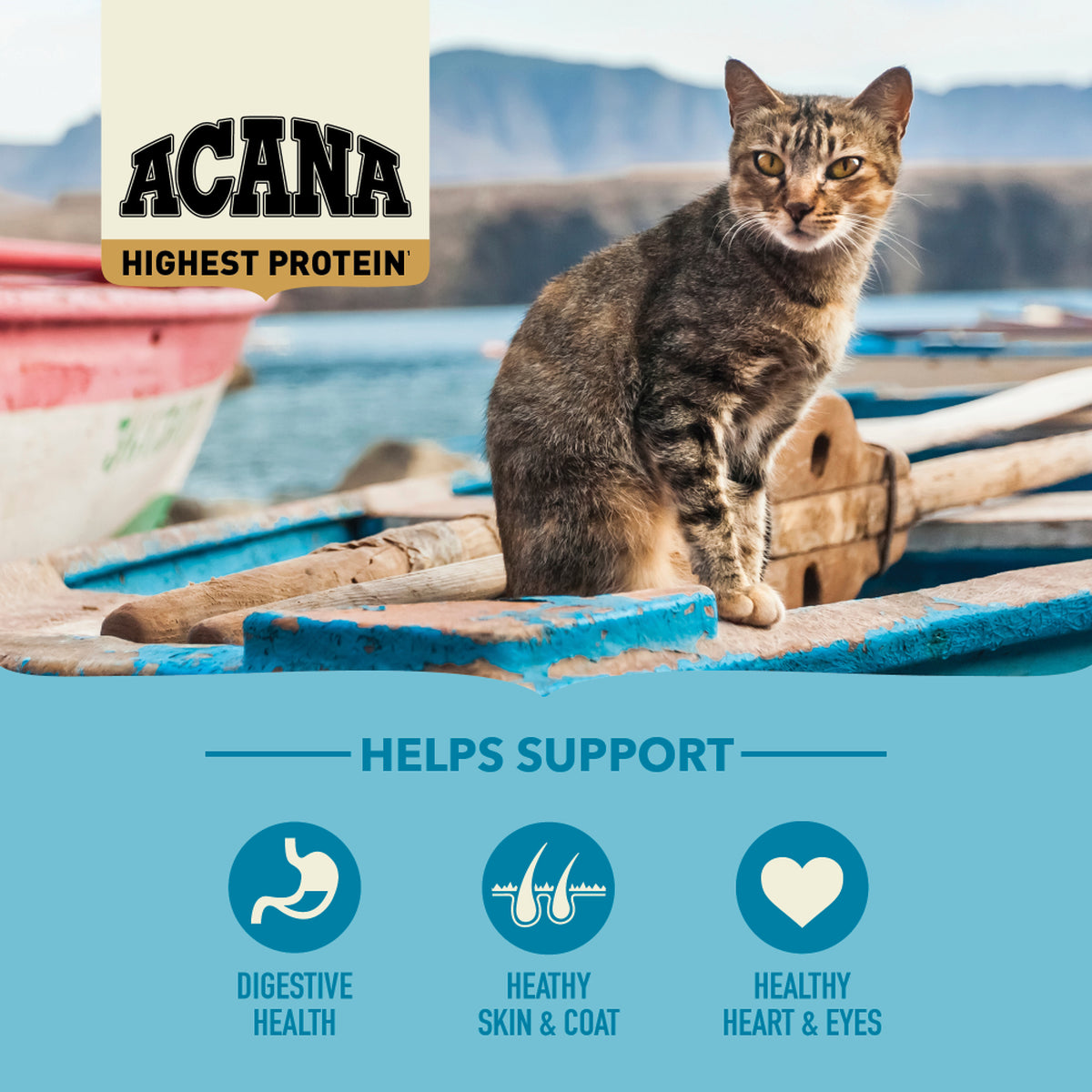 Acana - Cat - Highest Protein - Pacifica