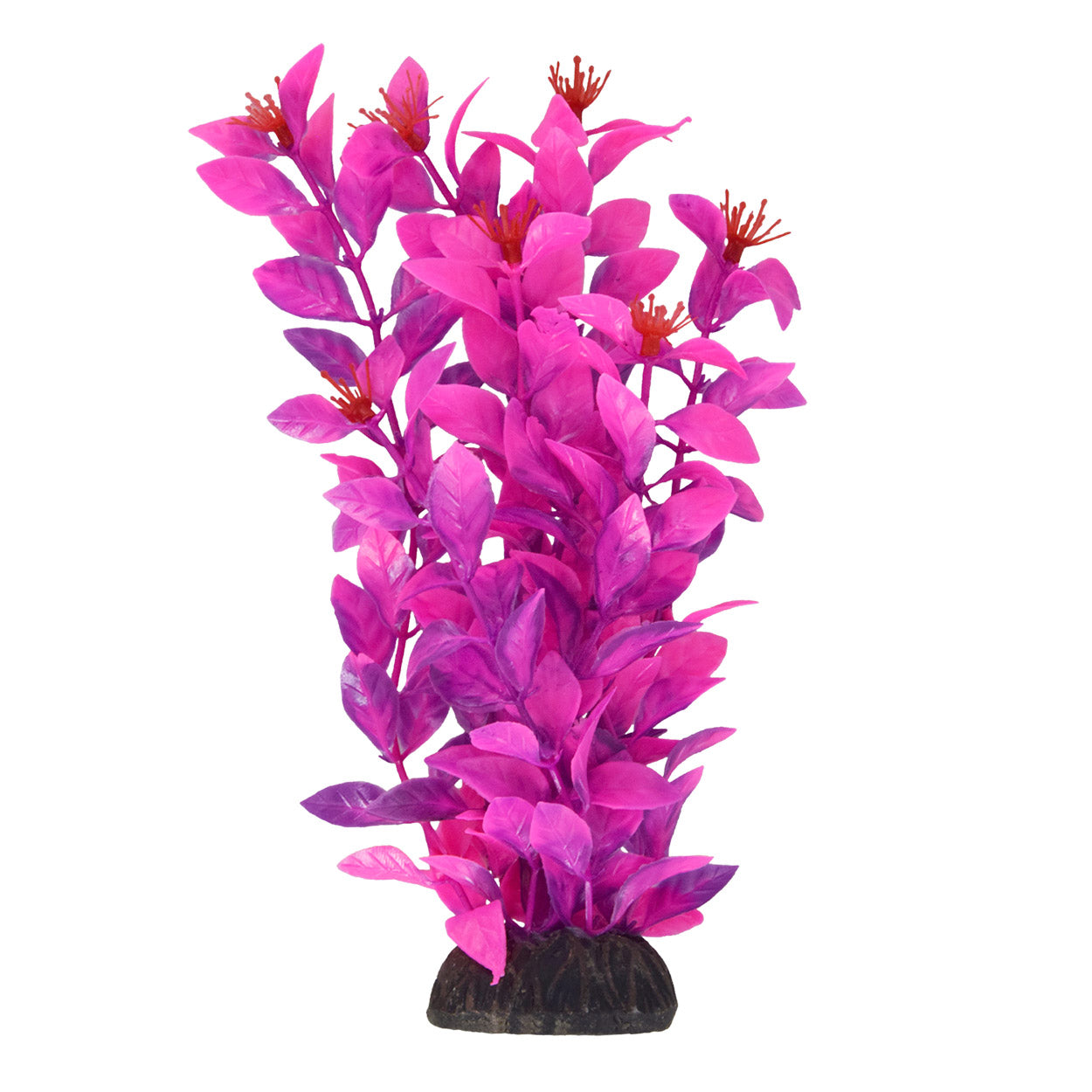 Underwater Treasures - Ludwigia