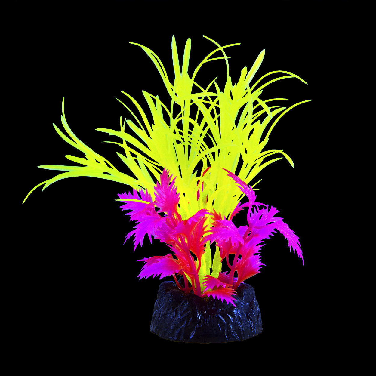 Underwater Treasures - Glo Star Grass - Green