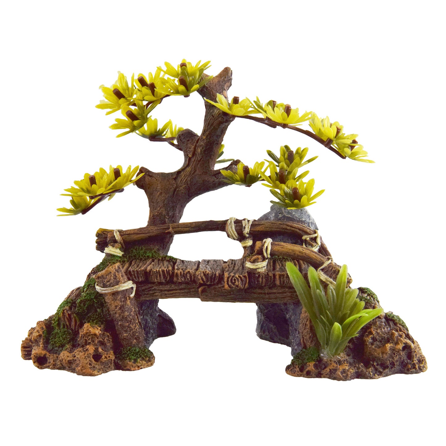 Underwater Treasures - Bonsai Bridge
