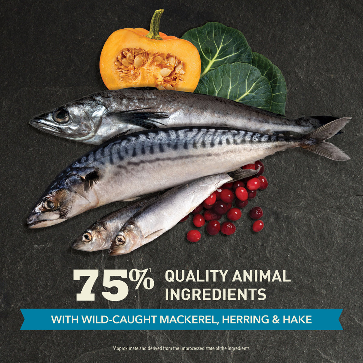 Acana - Cat - Highest Protein - Pacifica