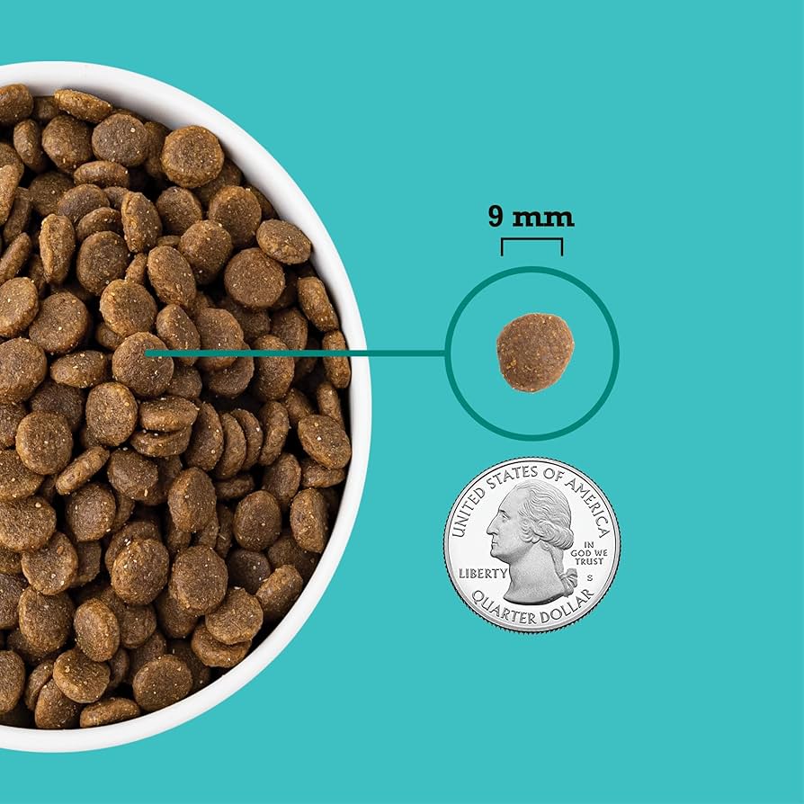 Acana - Dog - Healthy Grains - Puppy Sea & Farm