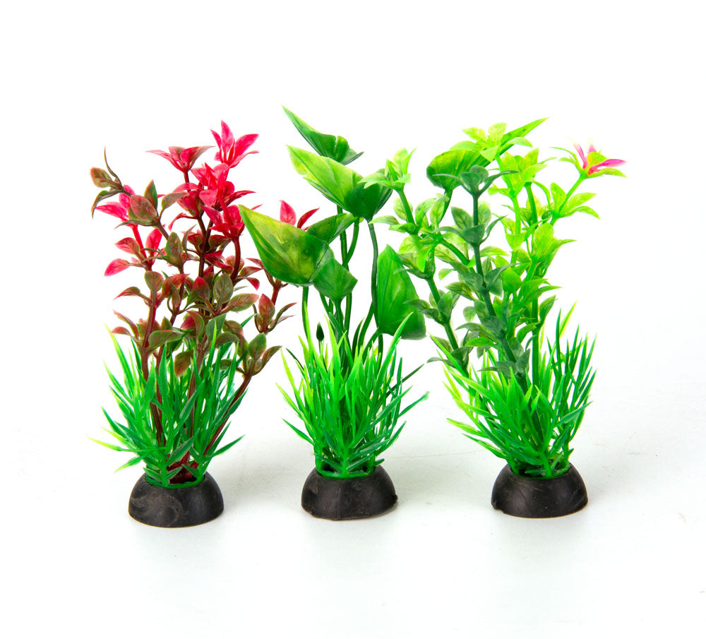Aqua-Fit - Aquarium Decoration