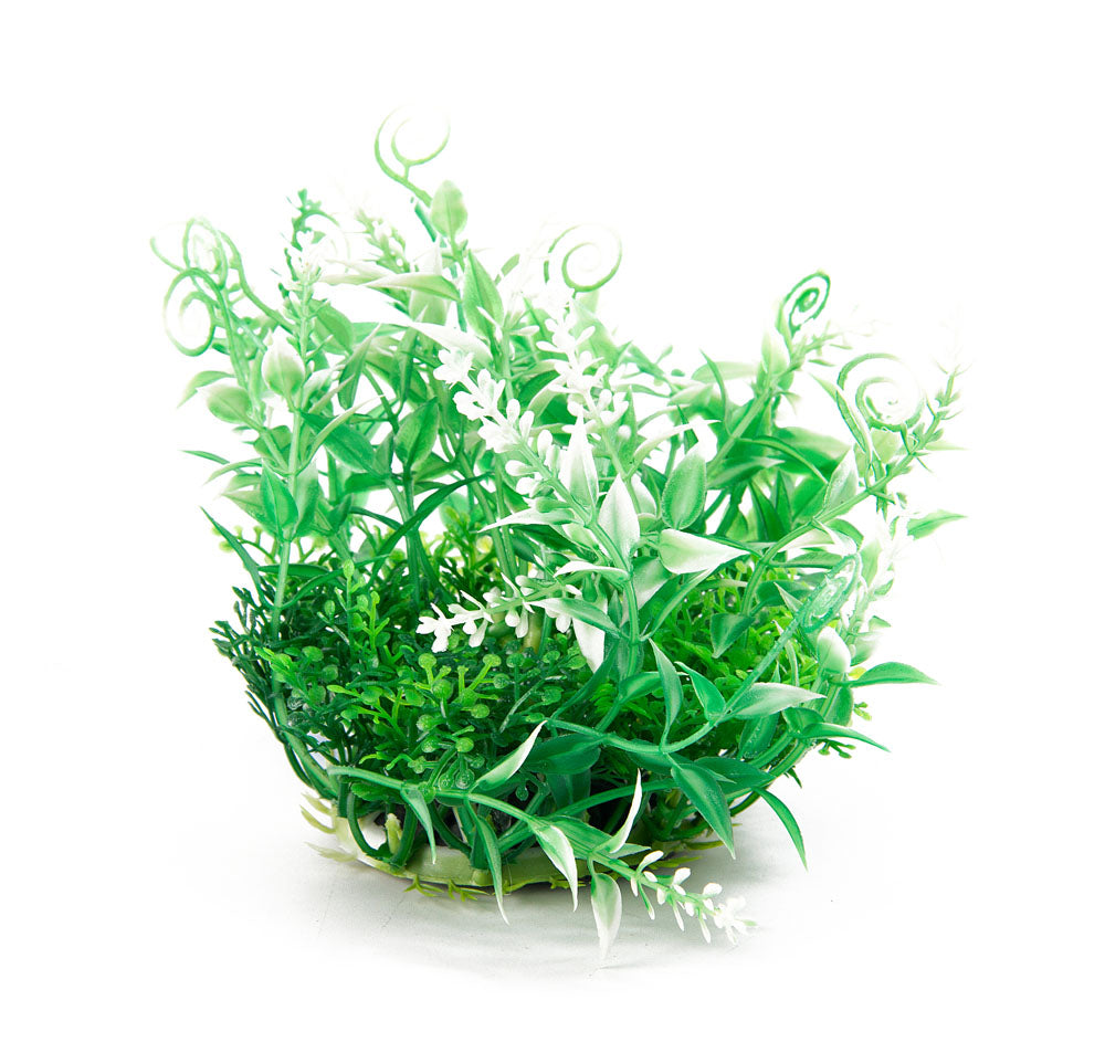 Aqua-Fit - Aquarium Decoration