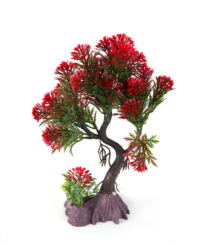 Aqua-Fit - Aquarium Decoration