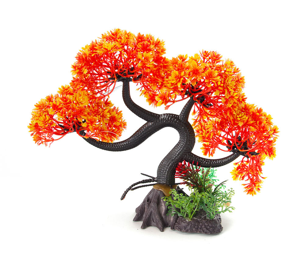 Aqua-Fit - Aquarium Decoration