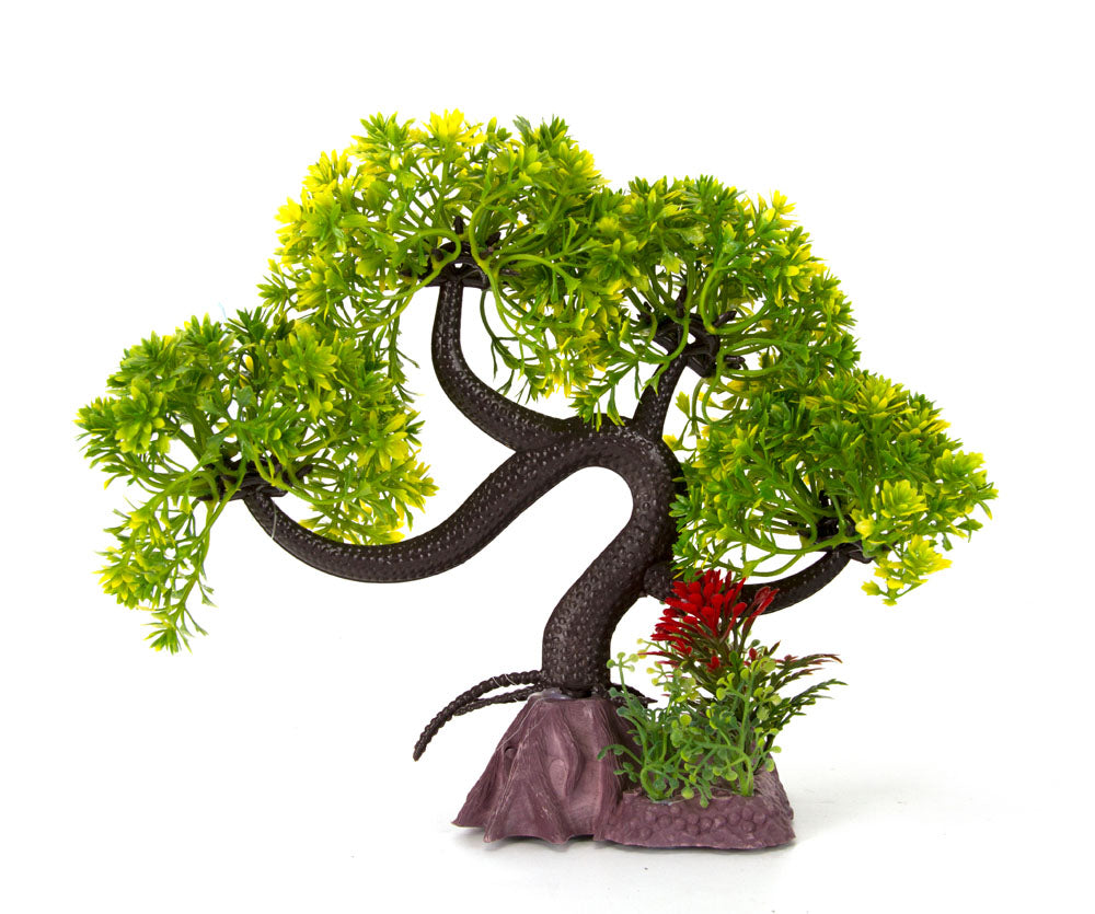 Aqua-Fit - Aquarium Decoration