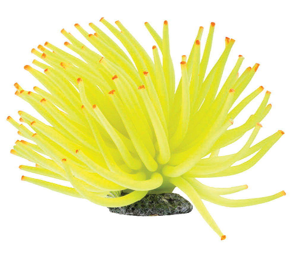GloFish - Aquarium Decoration