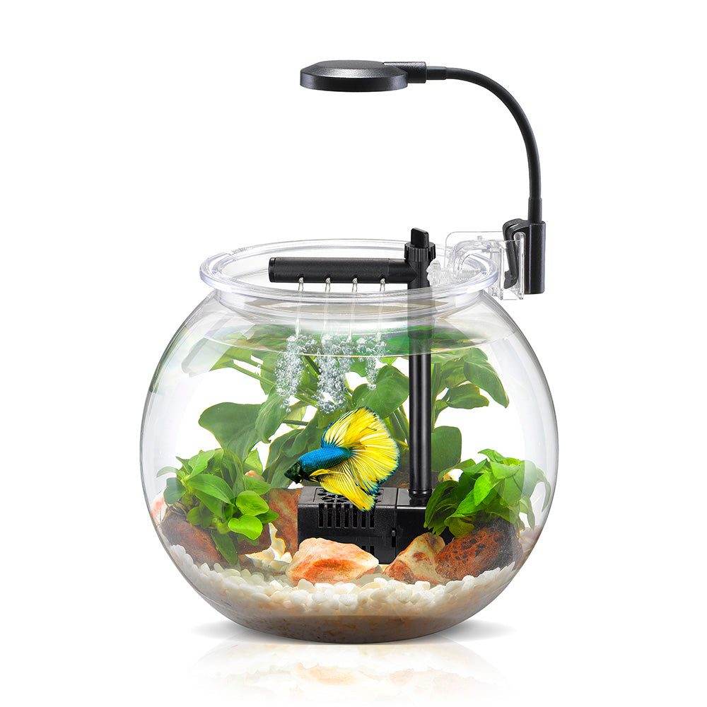Nubios - Desktop Betta Tank