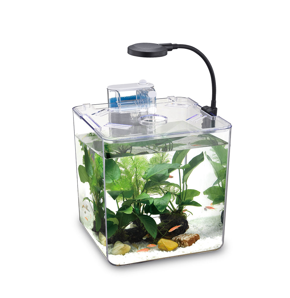 Nubios - Desktop Betta Tank