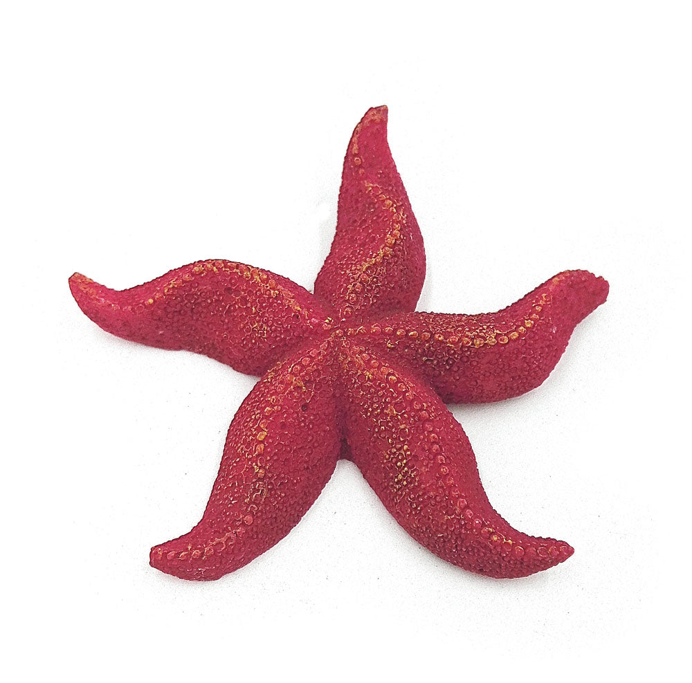 Aqua-Fit - Aquarium Decoration