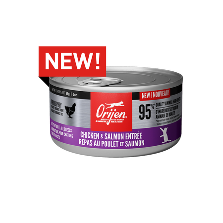 Orijen - Chicken & Salmon Kitten Pate