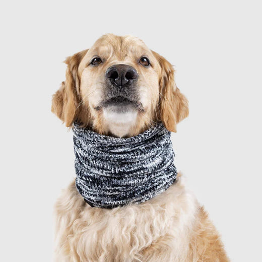 Canada Pooch - Dog Accessories