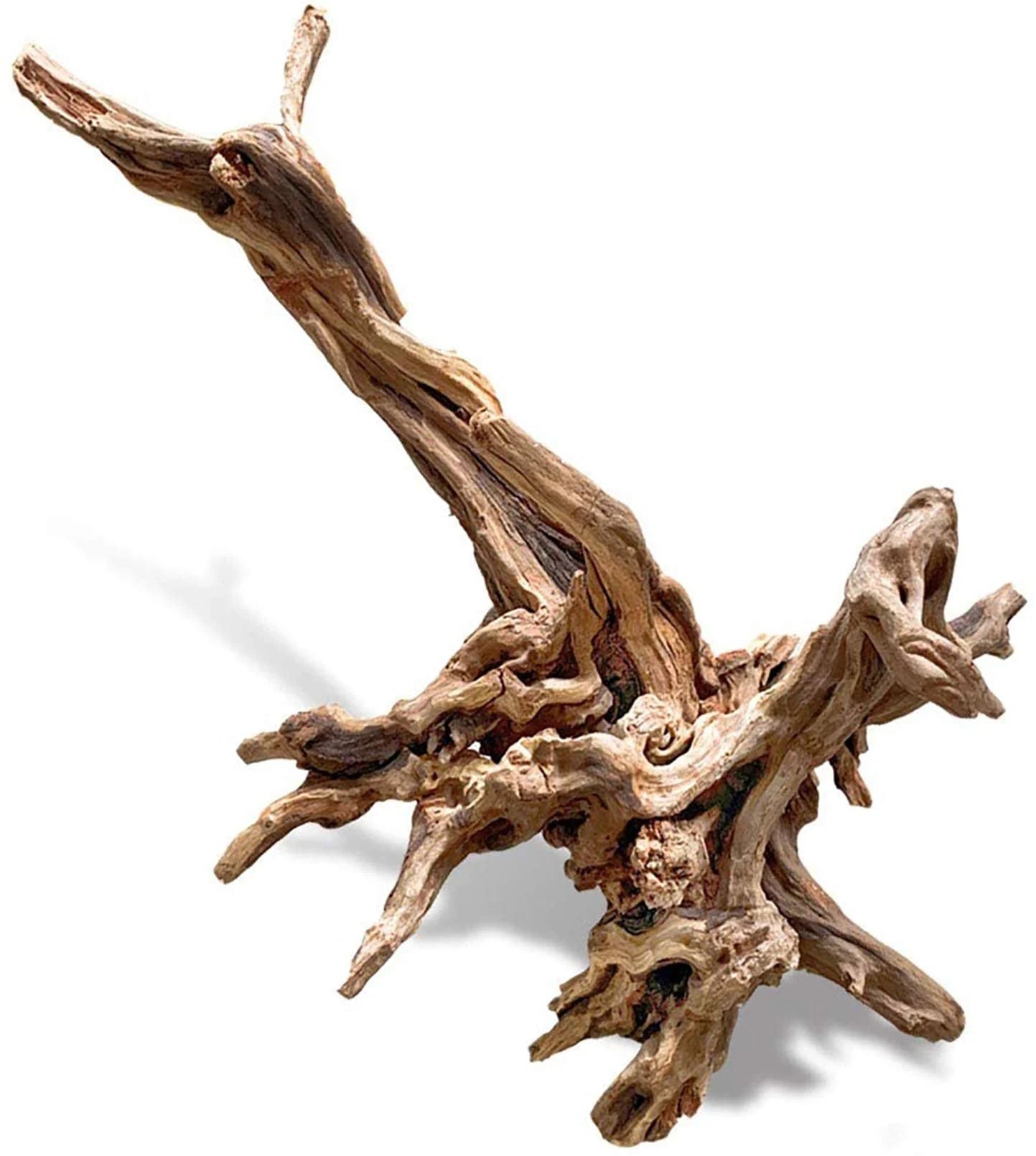 Driftwood Variety