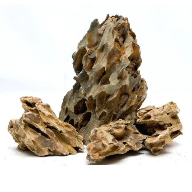 Dragon Rock (Japanese Ohko Rock) 1lb.