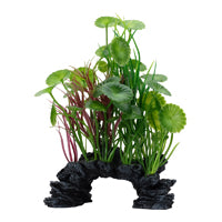 Fluval Aqualife Deco Scapes Green Lysimachia Mix - 15-20 cm (6-8 in)