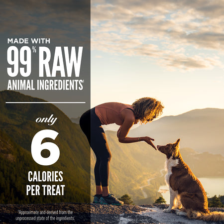 Orijen - Lamb Recipe Dog Treats