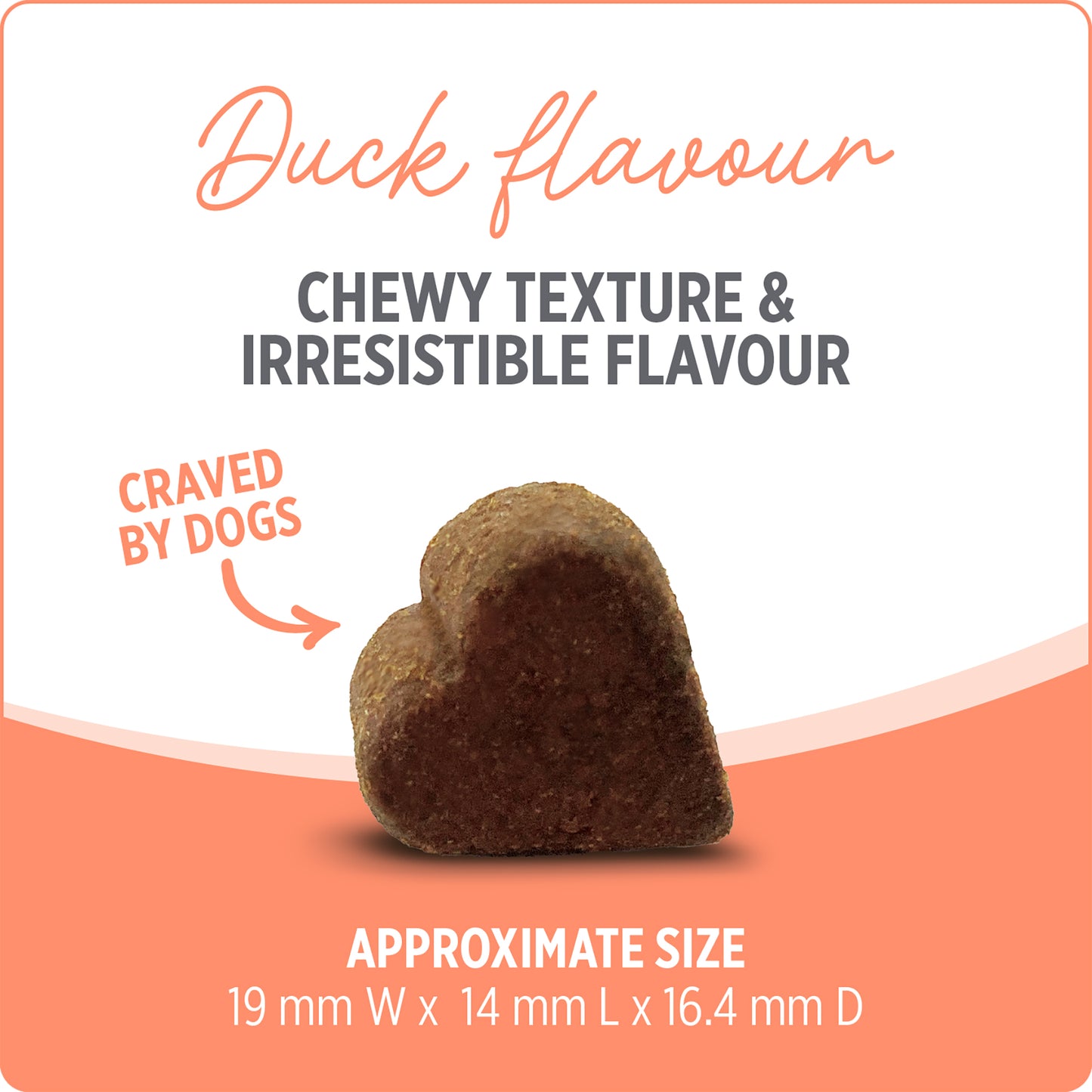 NUTRIENCE CARE - Supplement for Dogs - Probiotic+ - 100 soft chews - 400g