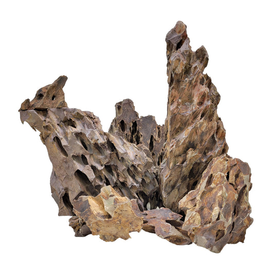 Japanese Ohko Rock (Dragon Stone)