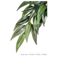 Exo Terra Silk Plant - Ruscus - Large