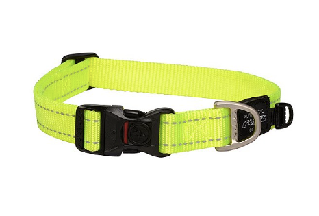 Rogz - Classic Dog Collar DayGlo