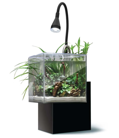 FLUVAL - Kühl - Microscaping Kit - Black - 8L (2.1 US Gal)