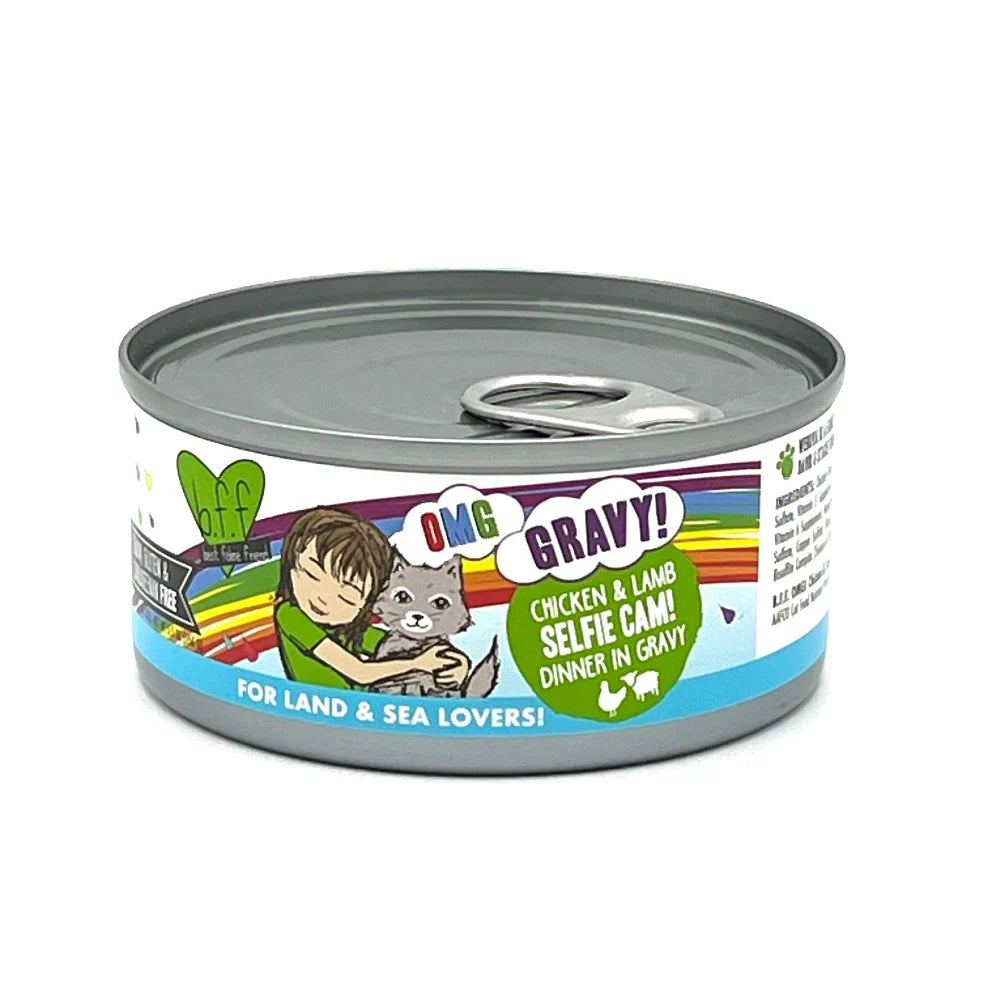 Weruva BFF - Canned Cat Food