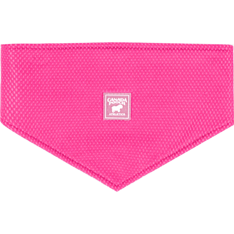 Canada Pooch - Dog Accessories