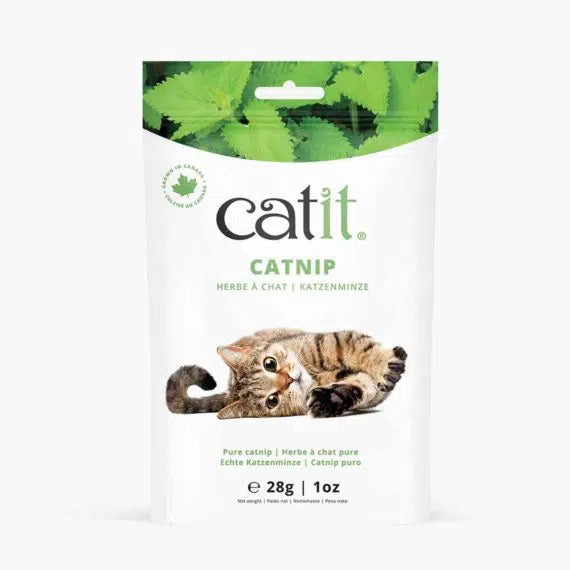 Catit! - Catnip