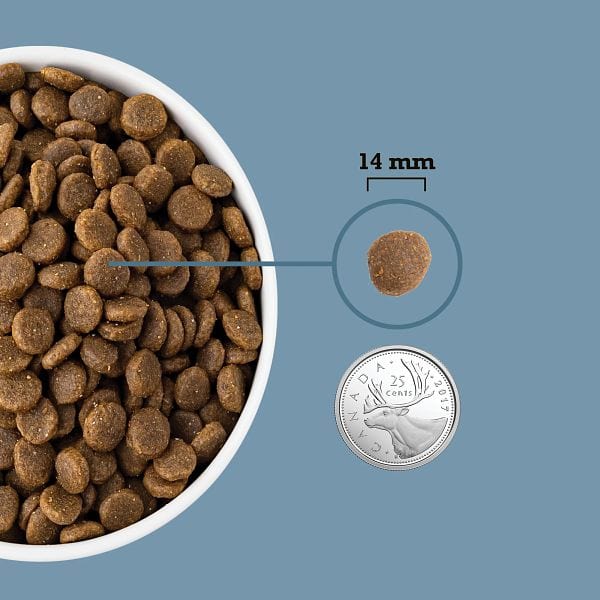 Acana - Dog - Healthy Grains - Sea To Stream
