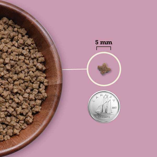Acana - Cat - Highest Protein - Kitten