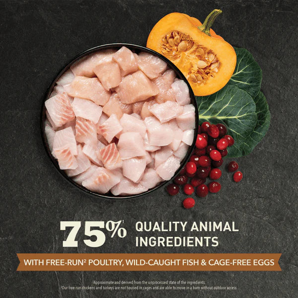 Acana - Cat - Highest Protein - Wild Preire