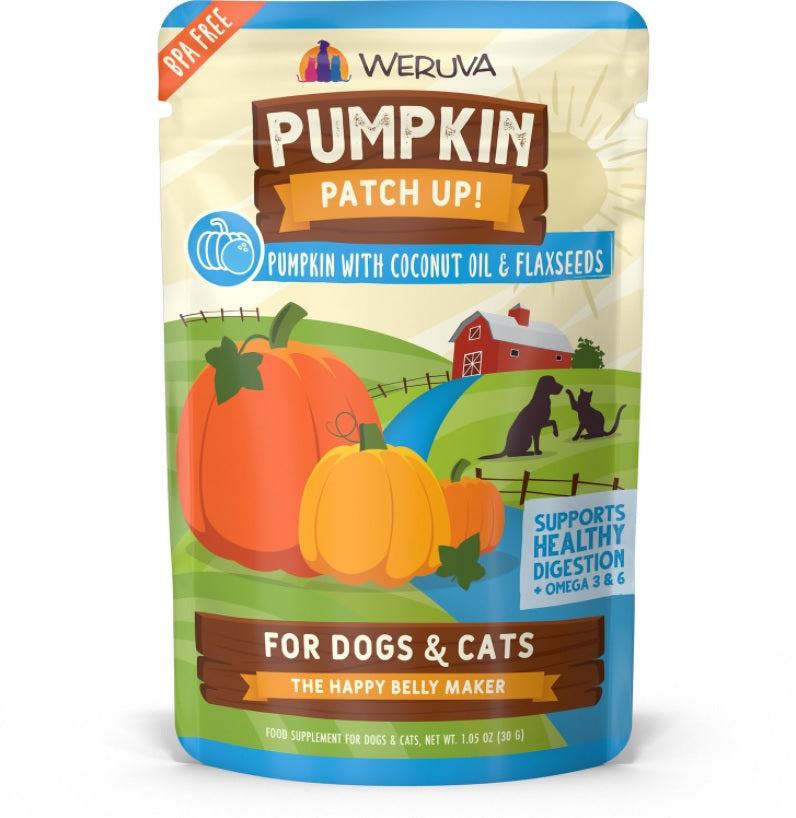 Pumpkin Patch UP
