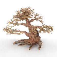Octopus Wood 6"