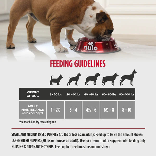 Nulo - No Grains Freeze-Dried - Raw Lamb Recipe with Raspberries
