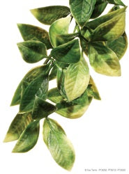 Exo Terra Jungle Plant, Terrarium Plant, small - "Mandarin"