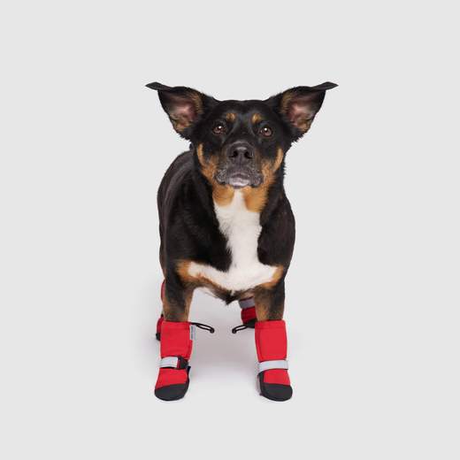 Canada Pooch - Soft Shield Boot Red
