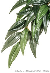 Exo Terra Jungle Plant, Silk, small - "Ruscus"