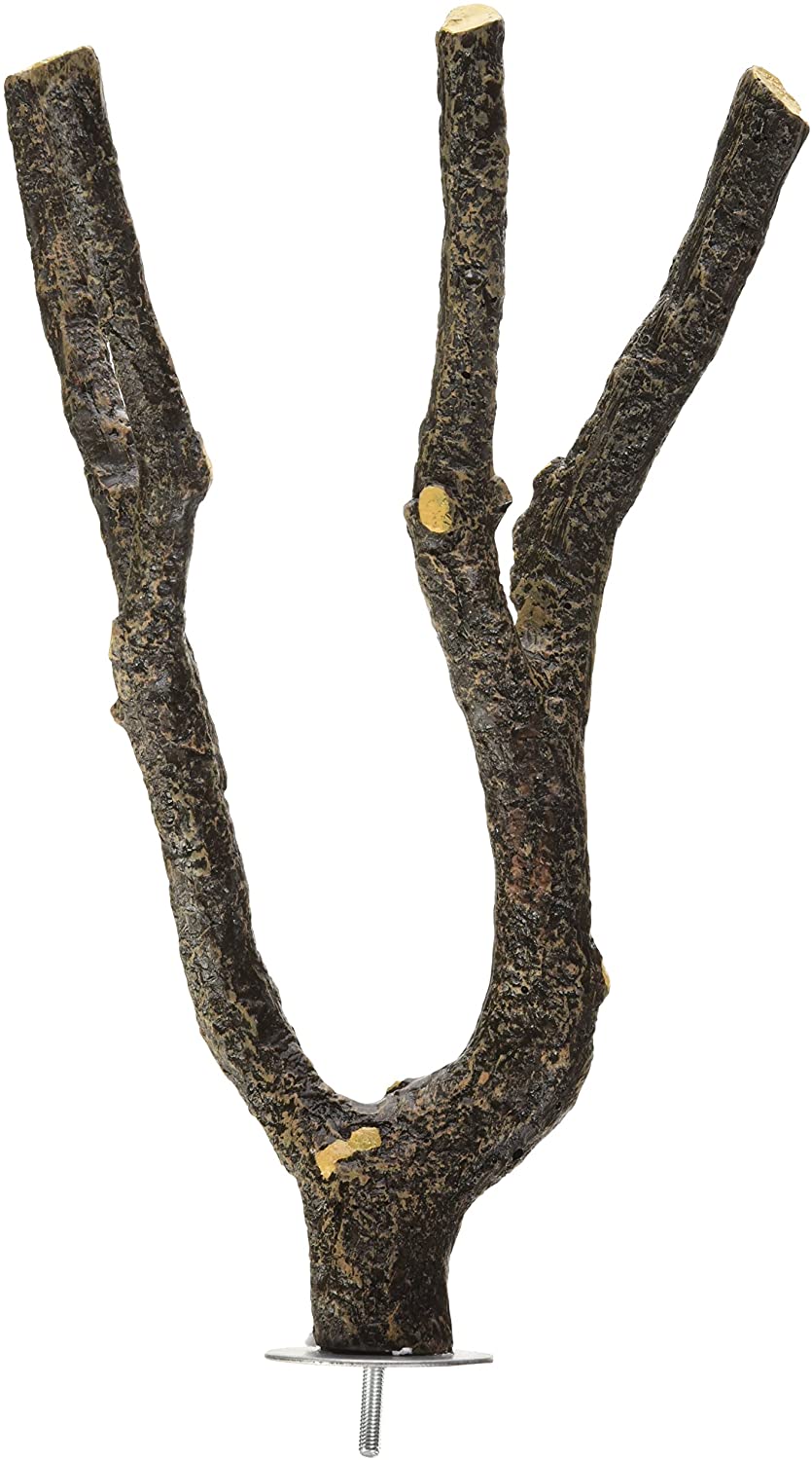 Living World Nature's Perch - Small