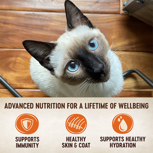 WELLNESS CORE - Tiny Tasters - Duck