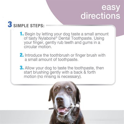 Nylabone - Advanced Oral Care Senior Dental Kit with Soft-Bristle