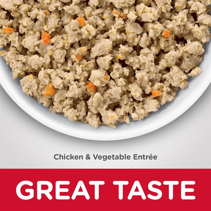 Hill's Science - Sensitive Stomach & Skin Cat Diet - Chicken Entrée